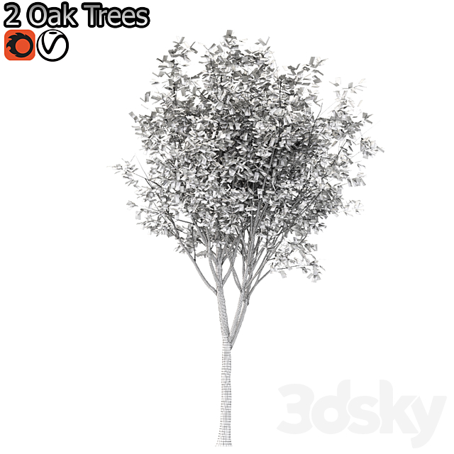 Set of Korean Oak and simple Oak Trees 3DS Max Model - thumbnail 5