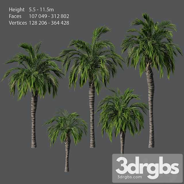 Set of Palm Trees 3dsmax Download - thumbnail 1