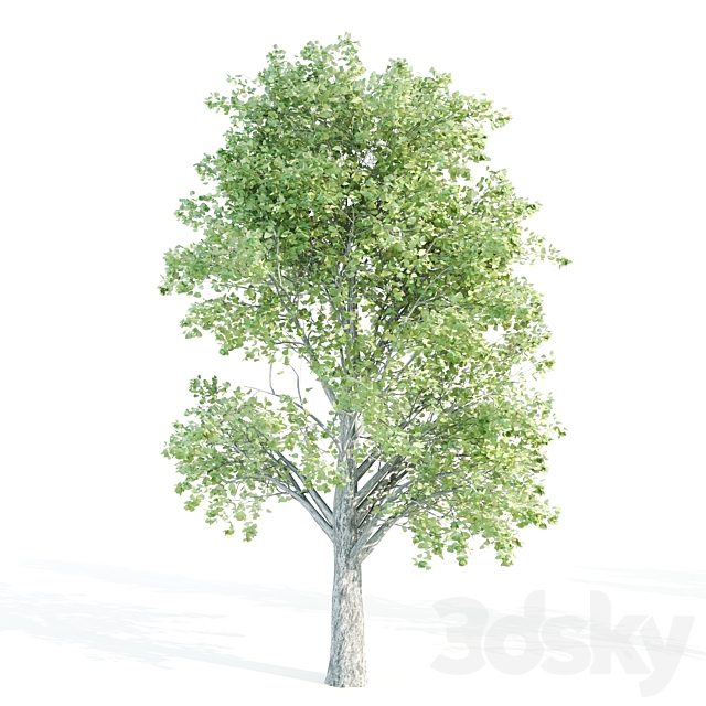 set of tree05 3DSMax File - thumbnail 4