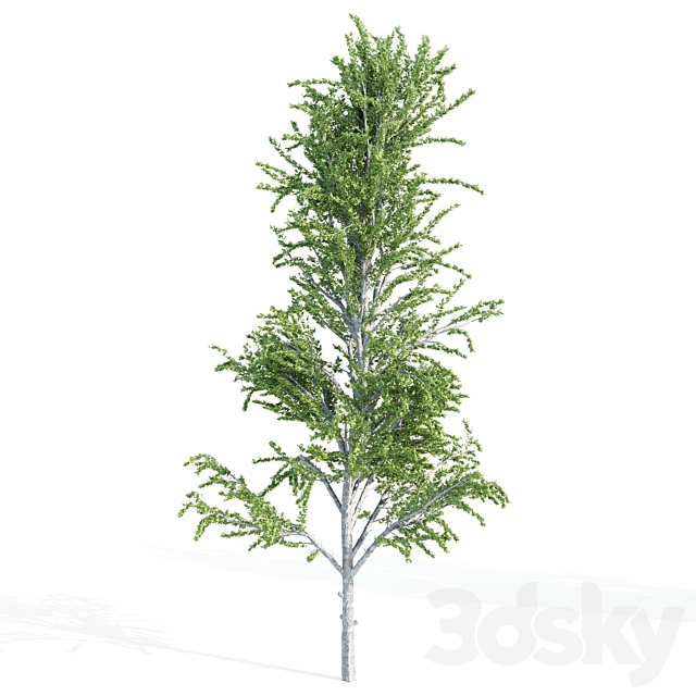 set of tree05 3DSMax File - thumbnail 5