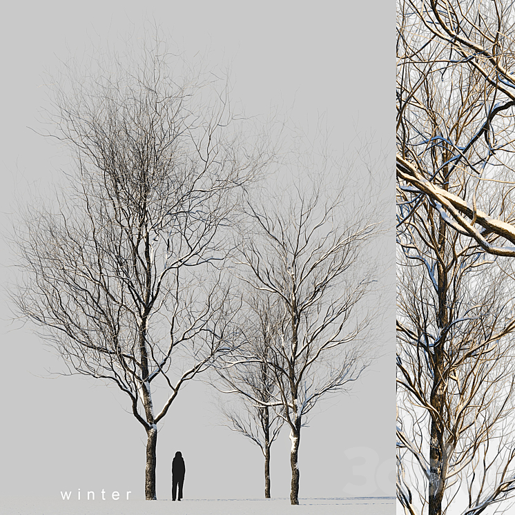 snow-covered trees 3DS Max Model - thumbnail 1