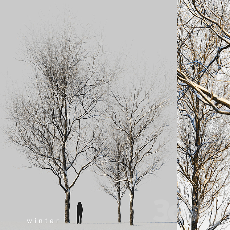 snow-covered trees 3DS Max - thumbnail 1