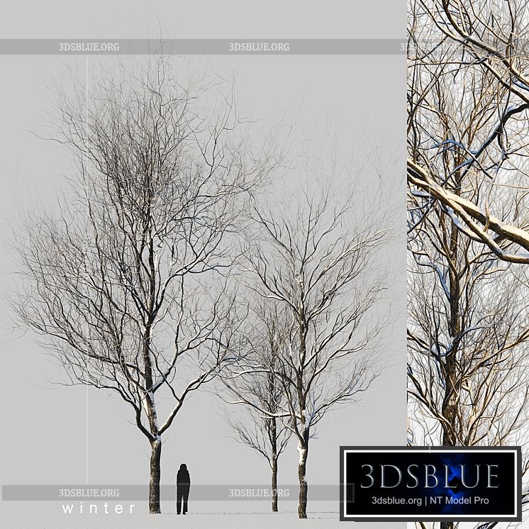 snow-covered trees 3DS Max - thumbnail 3