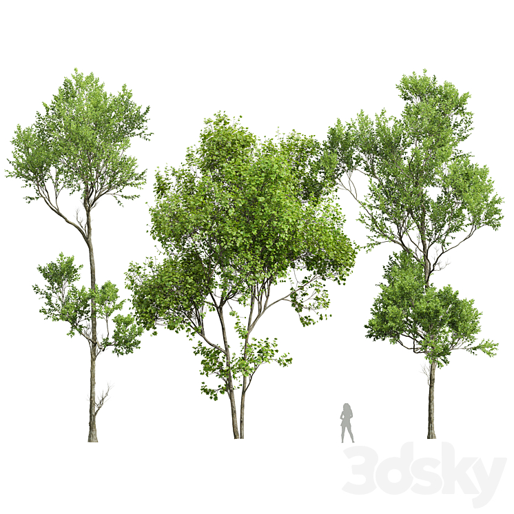 spring trees 3DS Max Model - thumbnail 1