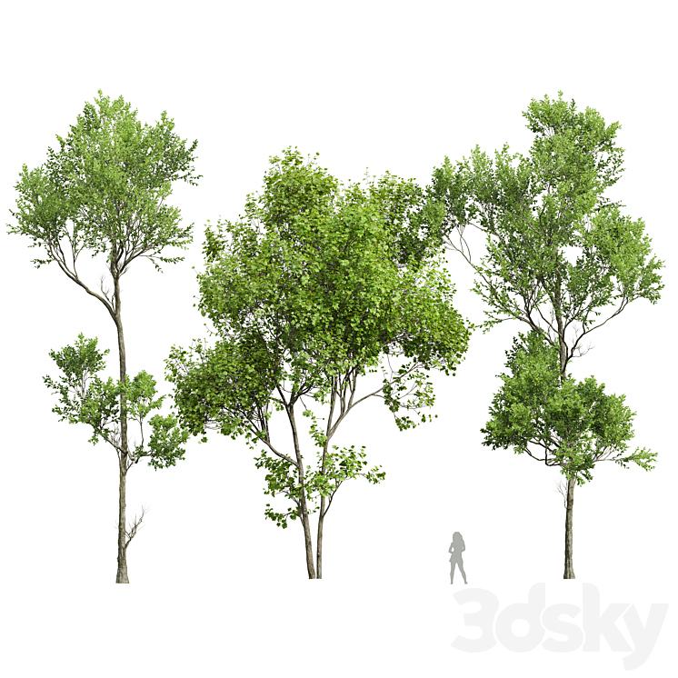 spring trees 3DS Max - thumbnail 1