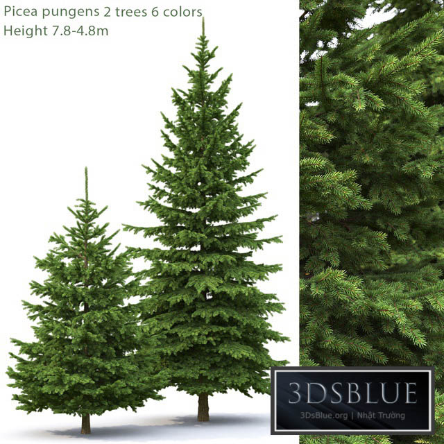 Spruce 3DS Max - thumbnail 3