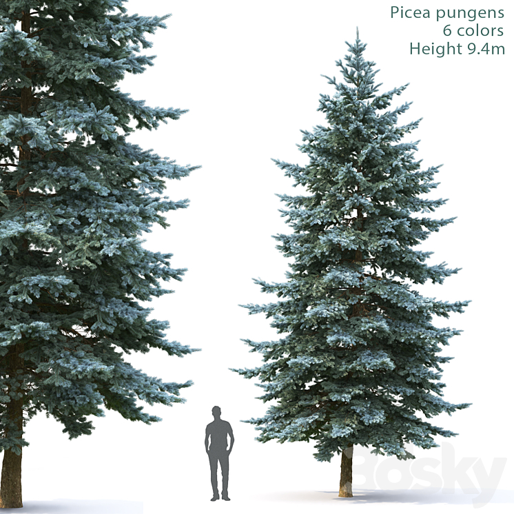 Spruce 3DS Max - thumbnail 1