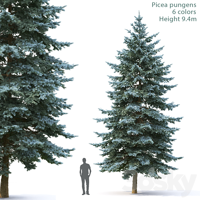 Spruce 3DSMax File - thumbnail 1