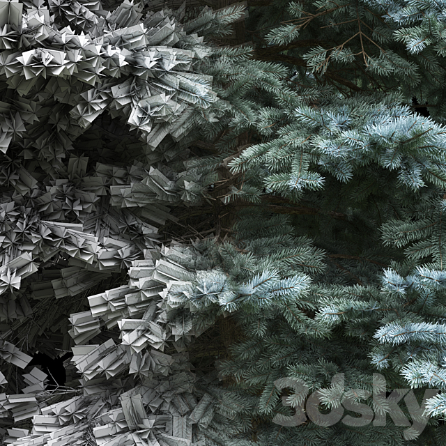 Spruce 3DSMax File - thumbnail 3