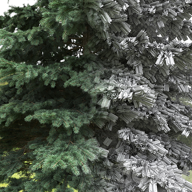 Spruce 3DSMax File - thumbnail 3