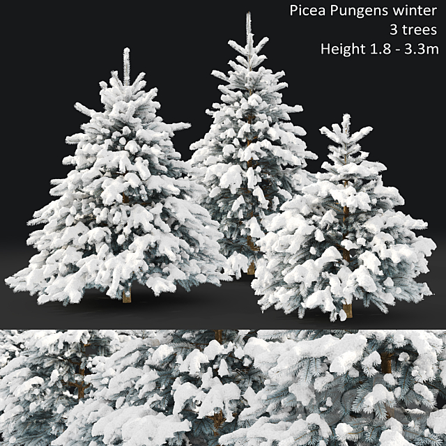 Spruce winter 3ds Max - thumbnail 1