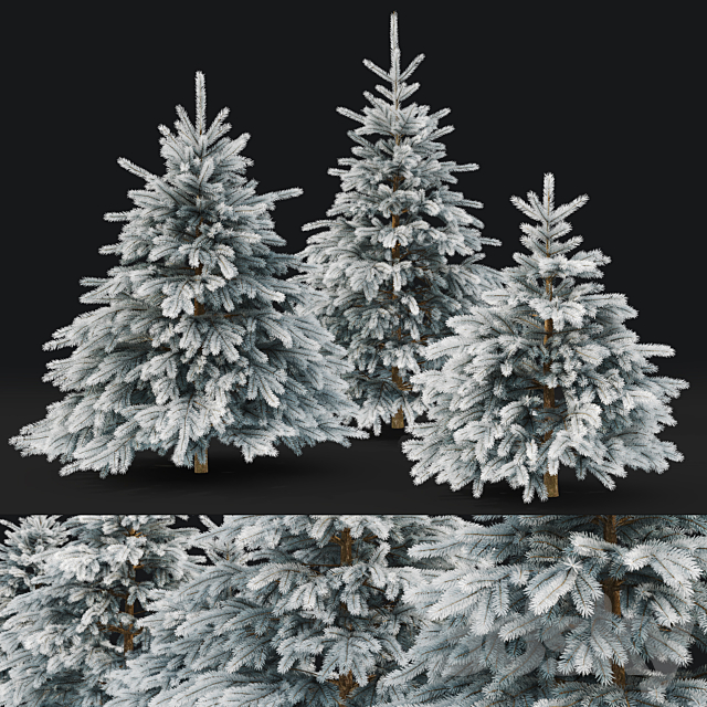 Spruce winter 3ds Max - thumbnail 2