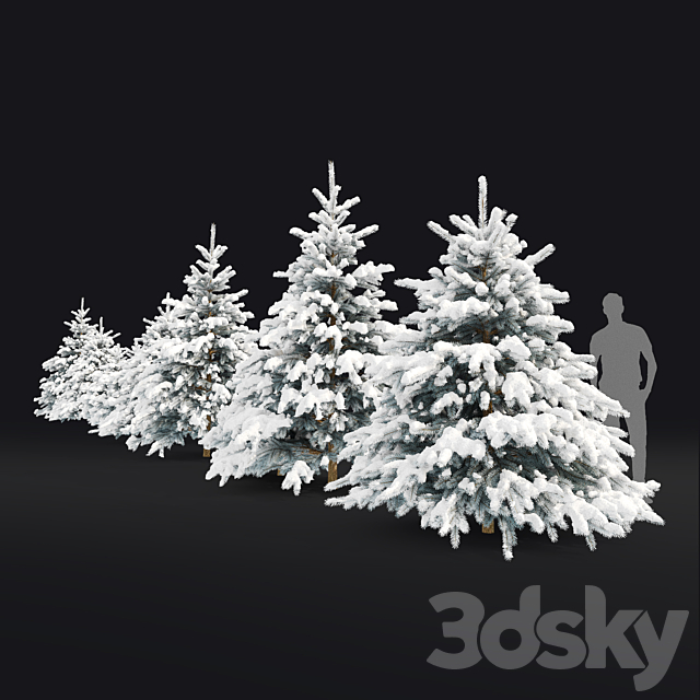 Spruce winter 3ds Max - thumbnail 3