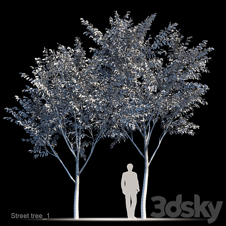 Street tree v1 3DS Max - thumbnail 2