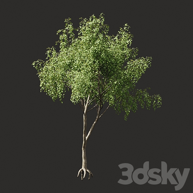 Summer tree # 04 3DS Max Model - thumbnail 2