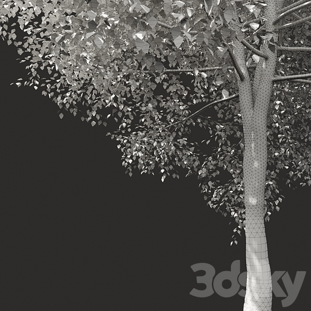 Summer tree # 05 3DS Max Model - thumbnail 3