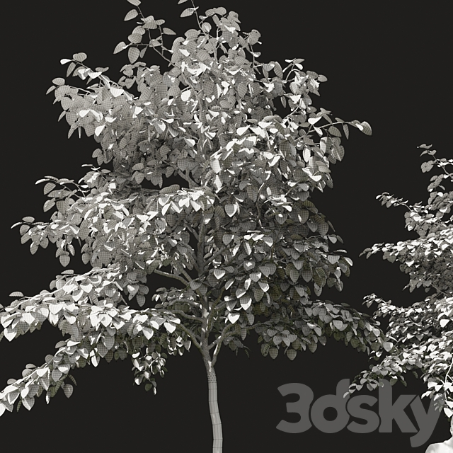 Summer tree # 07 3DSMax File - thumbnail 3