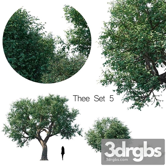Thee Set 5 3dsmax Download - thumbnail 1
