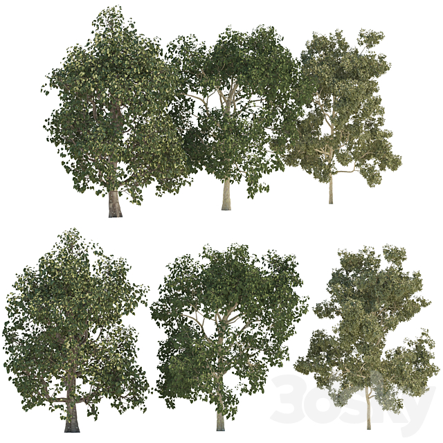 Three trees 3DSMax File - thumbnail 1