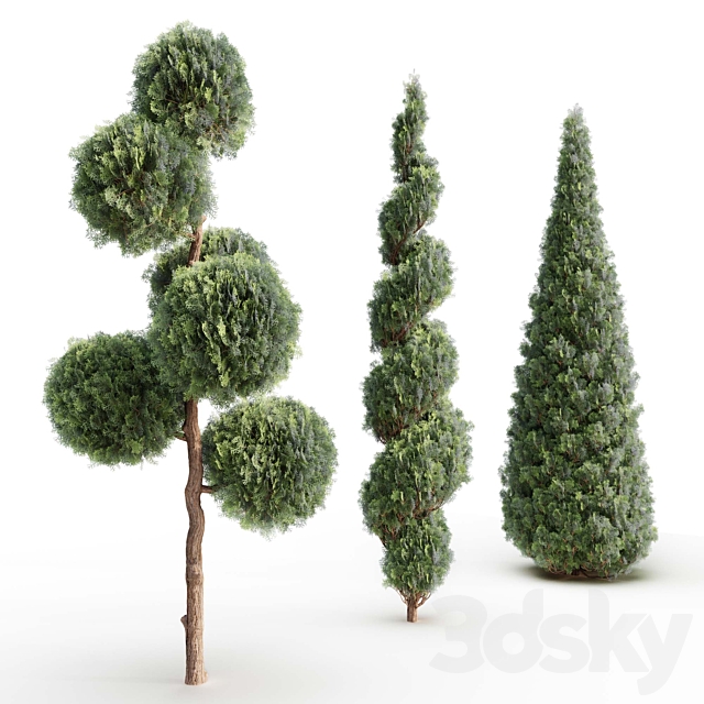 Thuja # 1 (Thuja # 1) 3DS Max Model - thumbnail 2