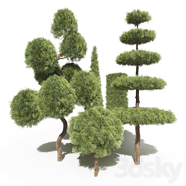 Thuja # 2 (Thuja # 2) 3DS Max Model - thumbnail 2