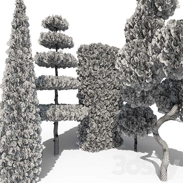 Thuja # 2 (Thuja # 2) 3DS Max Model - thumbnail 4