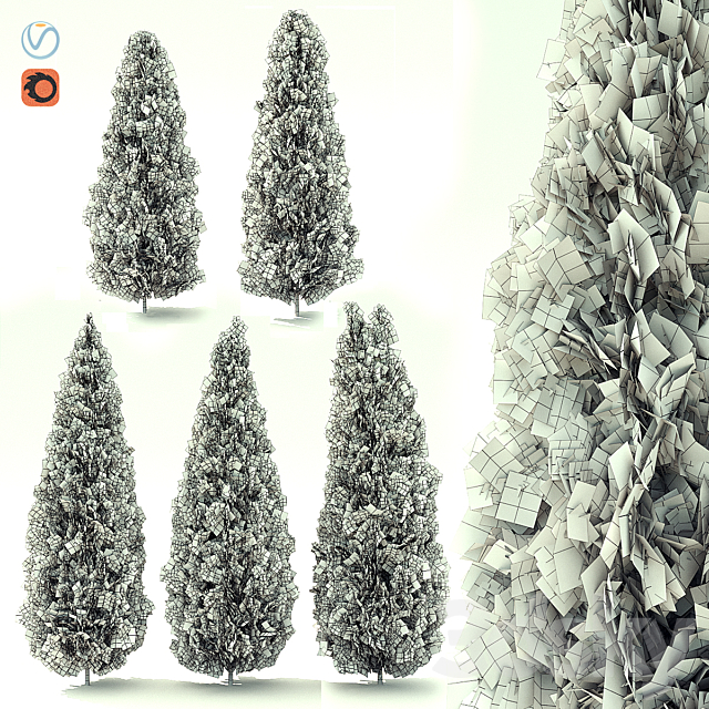 Thuja 3DSMax File - thumbnail 2