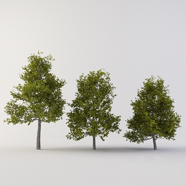 Tree 3ds Max - thumbnail 1