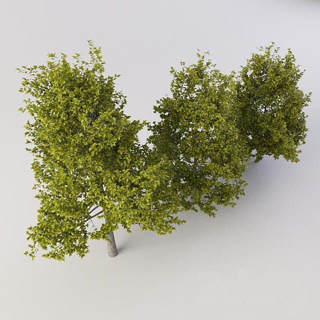 Tree 3ds Max - thumbnail 2