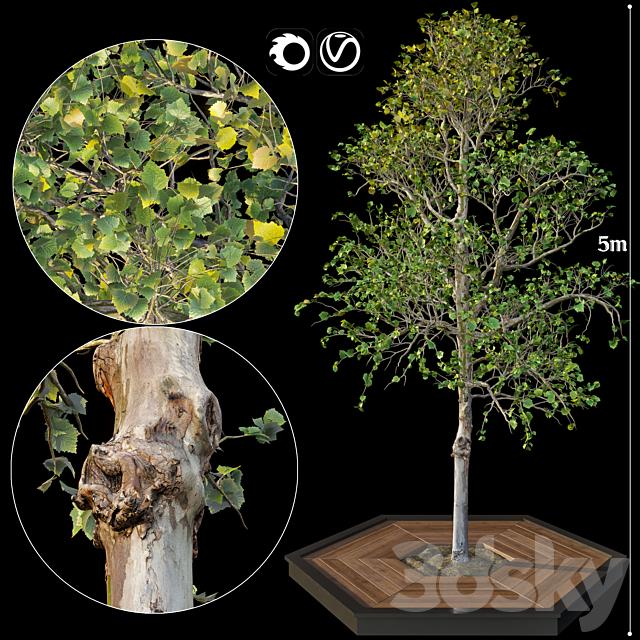 Tree 3DSMax File - thumbnail 1