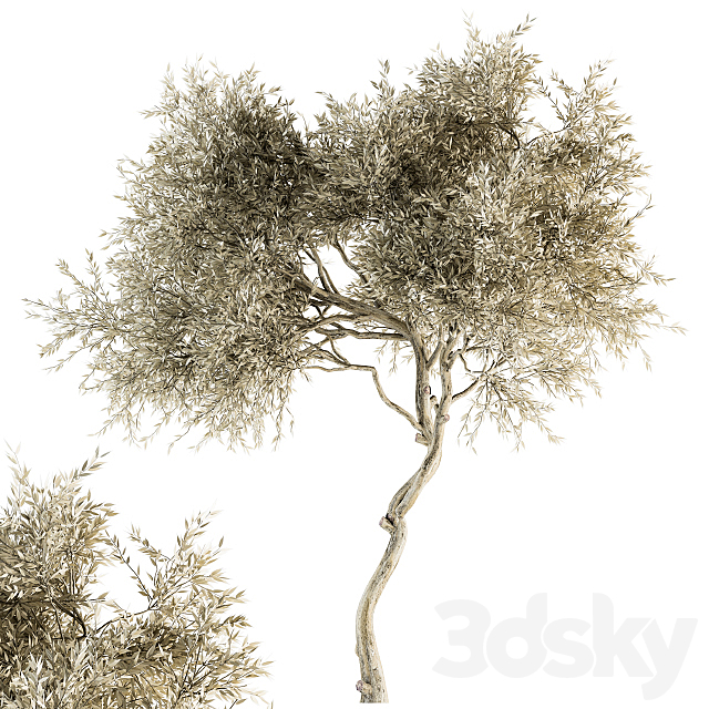 Tree Broadleaf Dried – Set 30 3ds Max - thumbnail 1