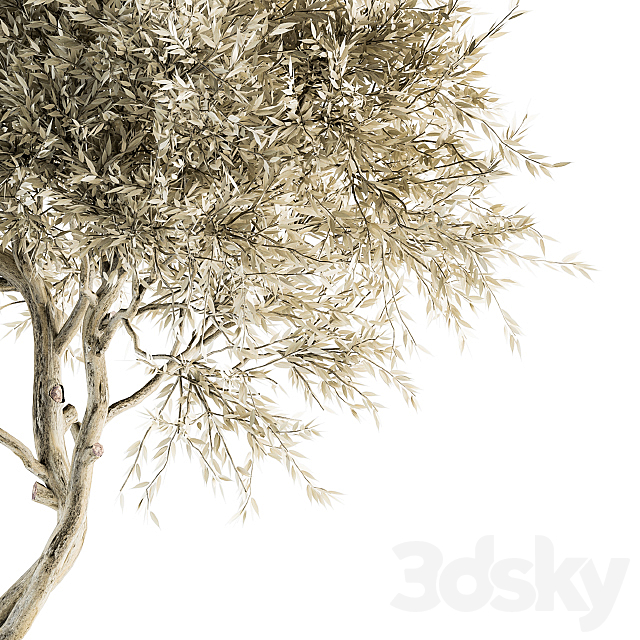 Tree Broadleaf Dried – Set 30 3ds Max - thumbnail 2