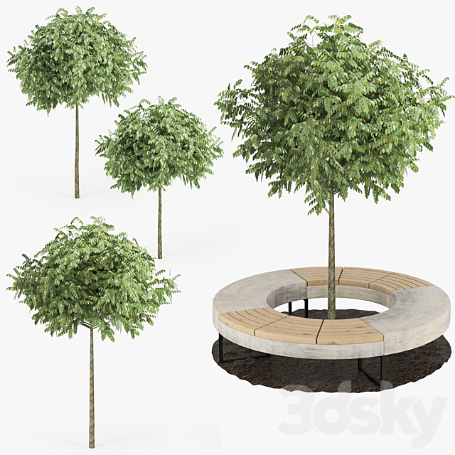 Tree Flowerbed 3DSMax File - thumbnail 1