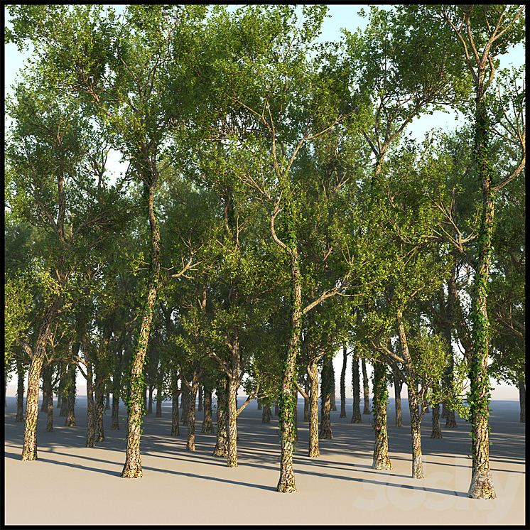 Tree Grab 3DS Max - thumbnail 2