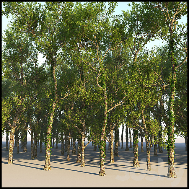 Tree Grab 3DSMax File - thumbnail 2