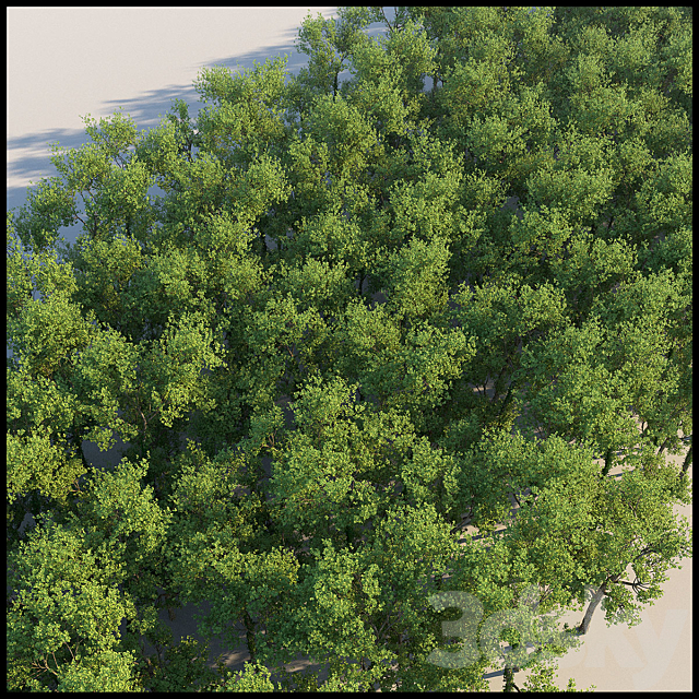 Tree Grab 3DSMax File - thumbnail 3