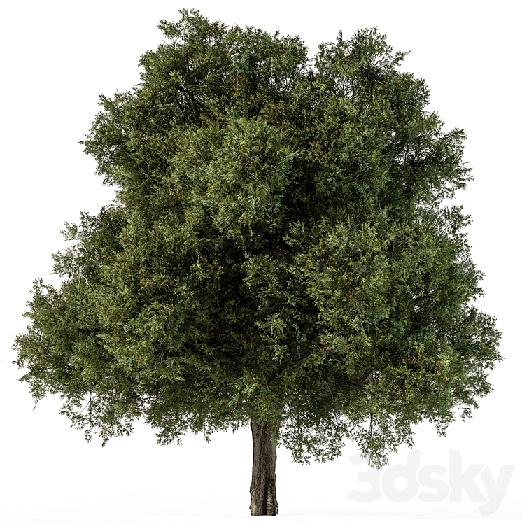 Tree Green Maple – Set 99 3DS Max Model - thumbnail 1