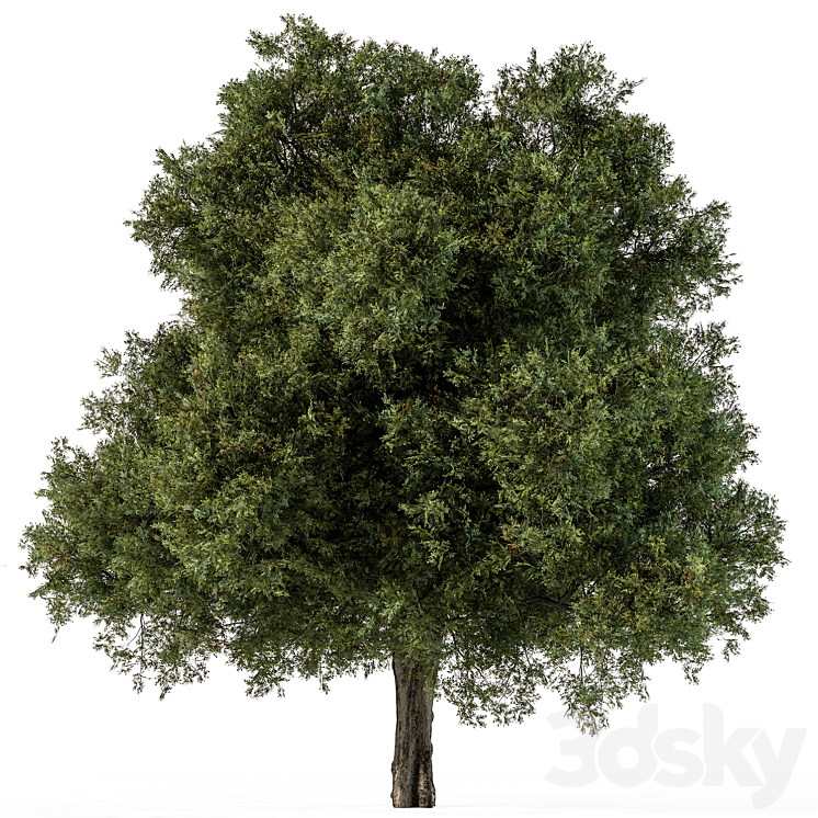 Tree Green Maple – Set 99 3DS Max - thumbnail 1