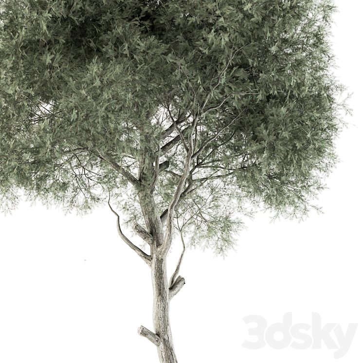 Tree Green Needle – Set 63 3DS Max Model - thumbnail 2