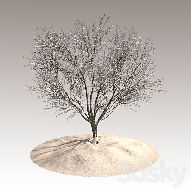 Tree in winter 3DSMax File - thumbnail 1