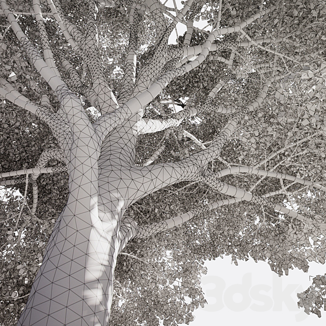 Tree Oak generic 3DS Max Model - thumbnail 3