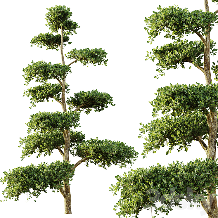 tree set 04 3DS Max Model - thumbnail 1