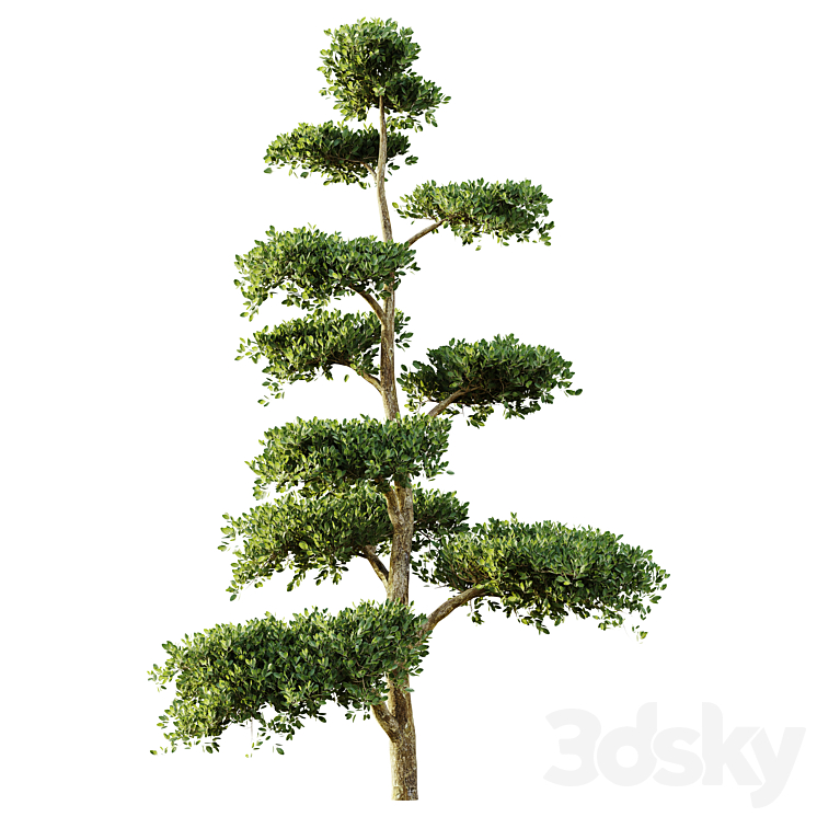 tree set 04 3DS Max Model - thumbnail 2