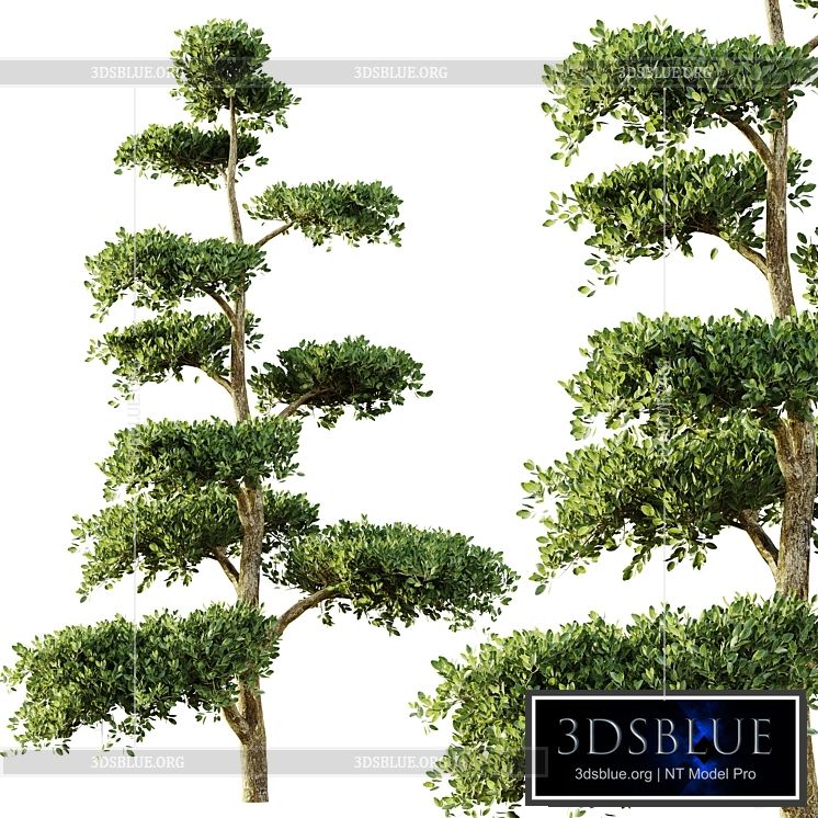 tree set 04 3DS Max - thumbnail 3