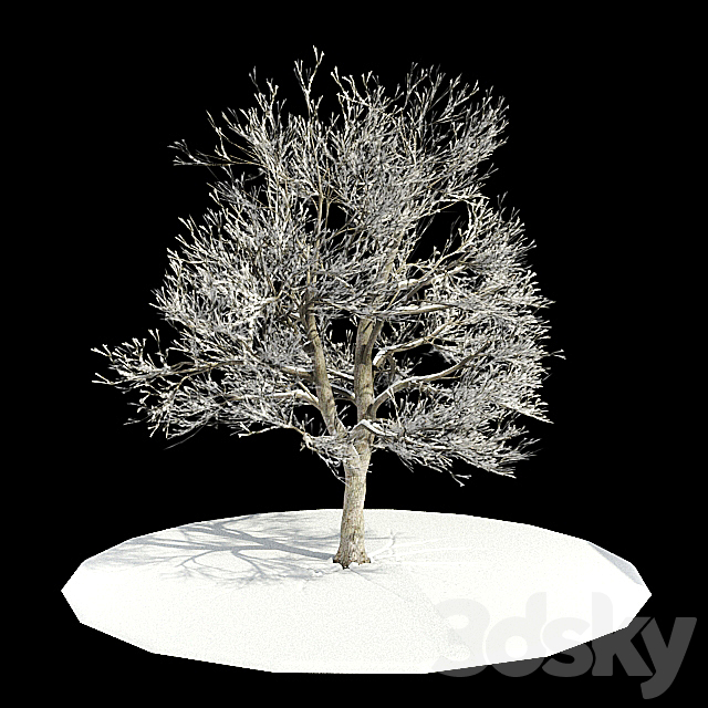tree-snow _ tree in snow 3DSMax File - thumbnail 1