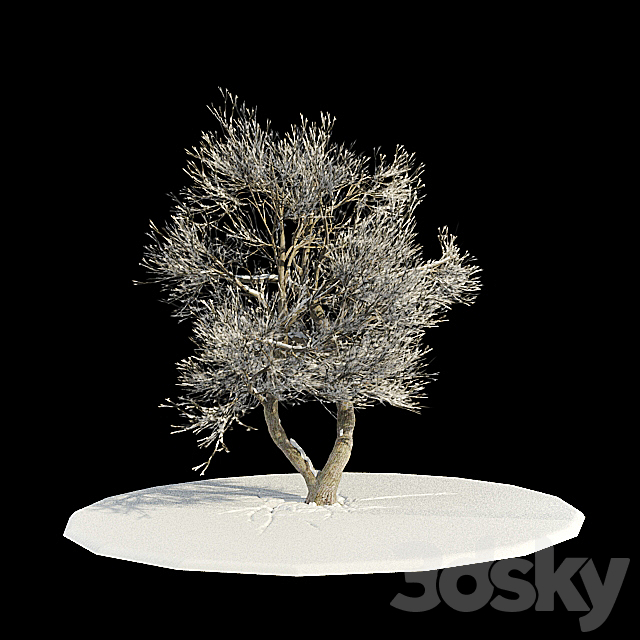 tree-snow v3 _ tree in snow v3 3DSMax File - thumbnail 1