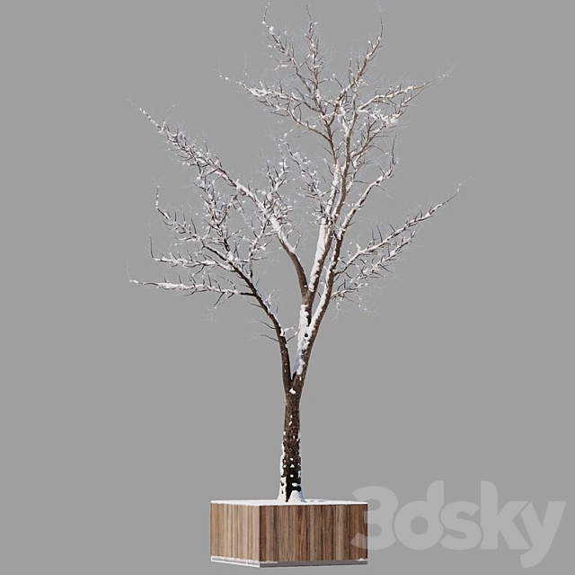 Tree summer-winter 3DSMax File - thumbnail 3