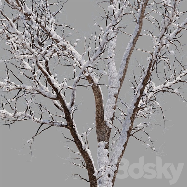 Tree summer-winter 3DSMax File - thumbnail 4