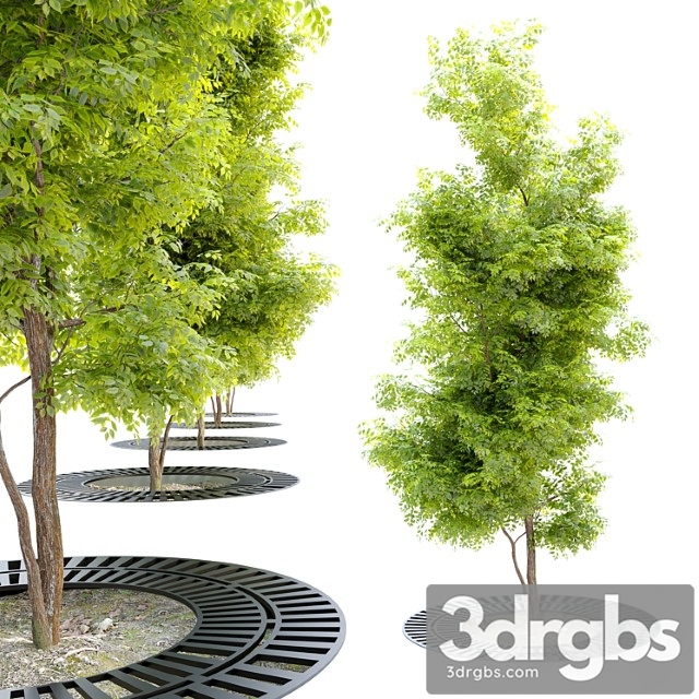 Tree With Metal Grate 3dsmax Download - thumbnail 1