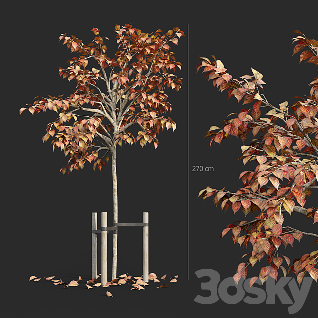 Tree with stake 01 3DSMax File - thumbnail 1